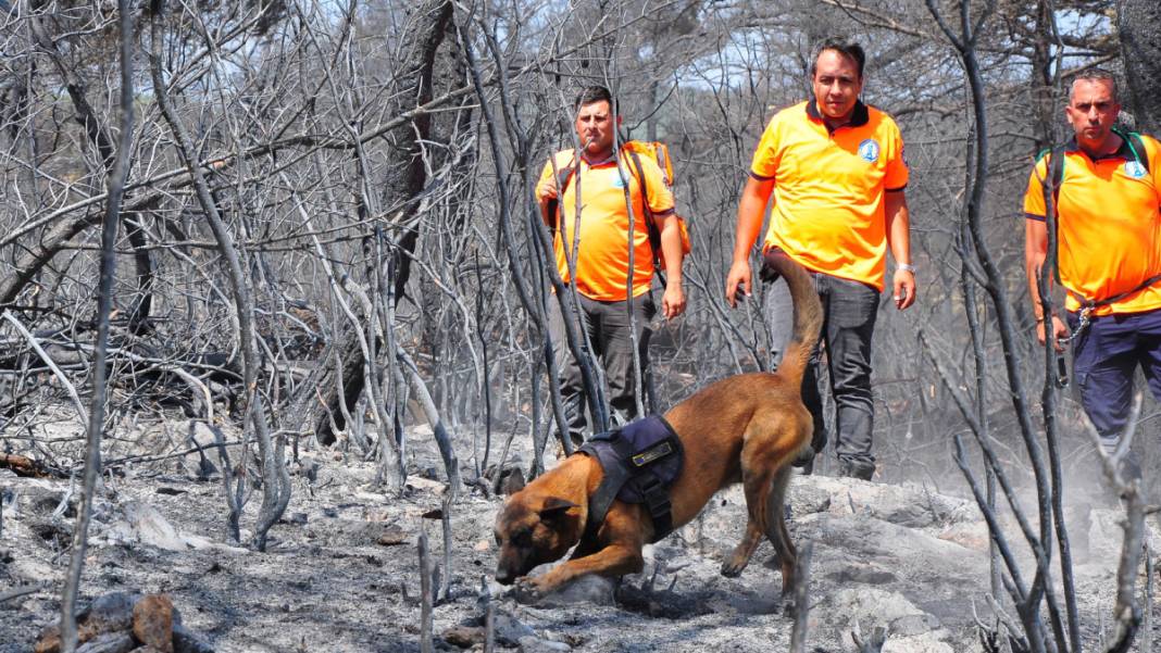 Kabus 23 saat sürmüştü: Sabotaj şüphesini 'Tarzan' çözecek 2